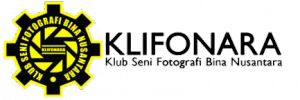 logo1